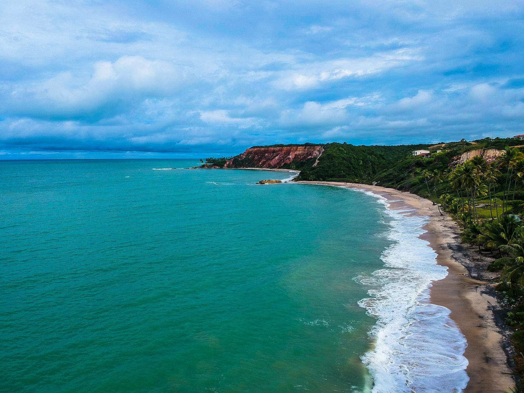 aerial photo of beach